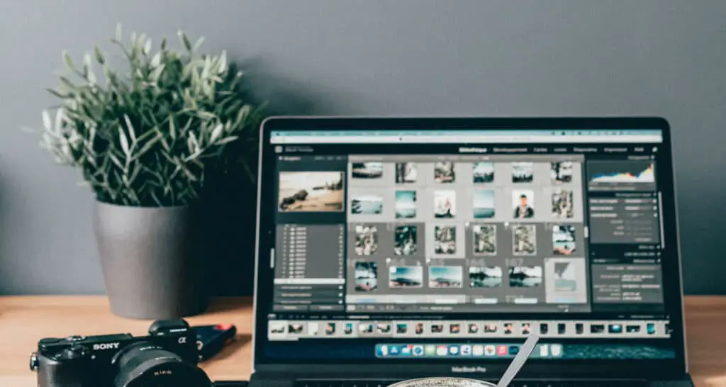 Picasa Replacement Apps You Should Use in 2024